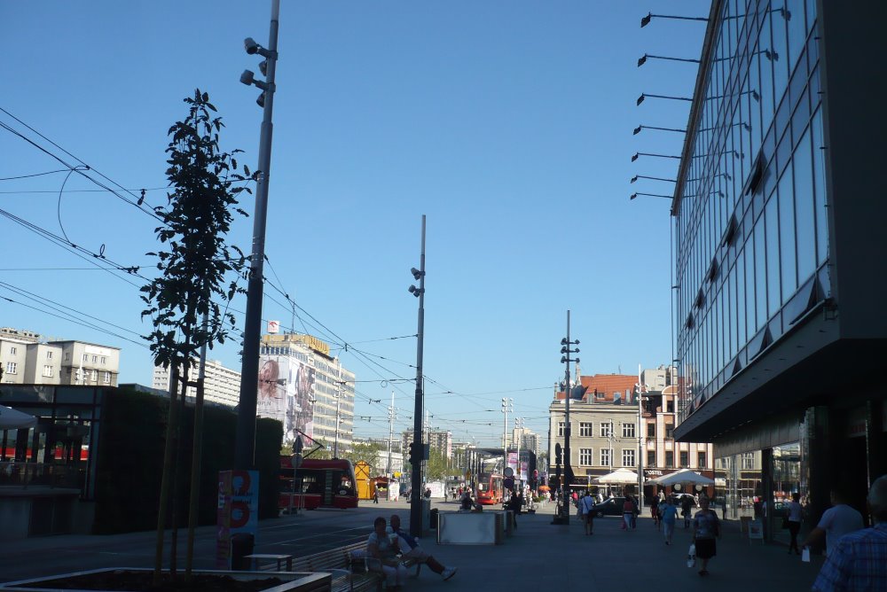 P1150785