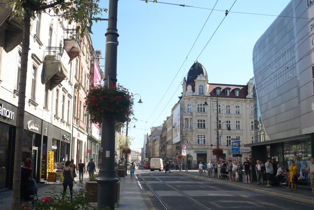 P1150807